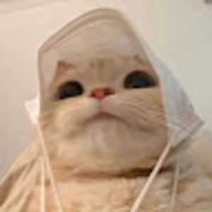 Meet your Posher, Trickortreat